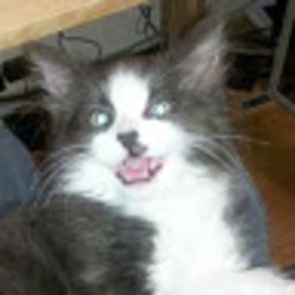 Profile Picture of Andrew Mazzone (@andrewmazz8) on Poshmark