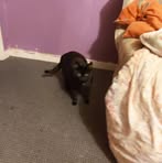 Profile Picture of Craig Johnson (@Craig-Johnson) on Facebook