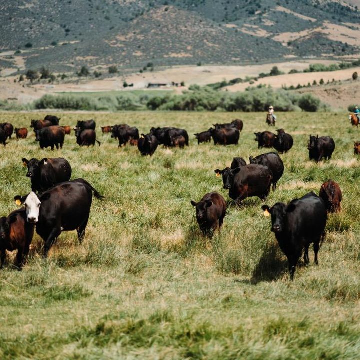 Profile Picture of johnwstier (@johnwstier) on Tiktok