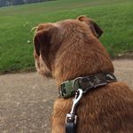 Profile Picture of Evan Jones (@evanjack_spam) on Instagram