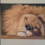 Profile Picture of Loretta (@lorettaorr) on Instagram