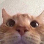 Profile Picture of Chris Giron (@i_taste_weird) on Instagram