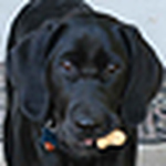 Profile Picture of Jeremy Bradford (@jtbradford) on Flickr