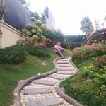 David Hiskyah Josua - Instagram Profile Picture of David Hiskyah Josua (@davidhiskyahjosua) on Instagram