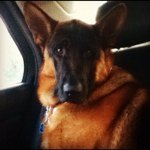 Profile Picture of Kevin Krukowski (@kevokevbro) on Instagram