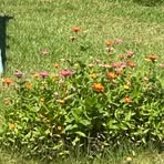 Profile Picture of Crystal Safley (@Crystal-Safley) on Facebook