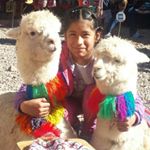 Profile Picture of Andean Journeys Peru (@teresa.conde.3517) on Instagram