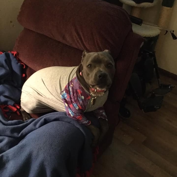 Profile Picture of Hope Bruskiewicz (@hbruskie) on Poshmark