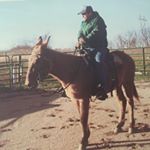 Profile Picture of Jim  Pollock (@jimmit68) on Instagram