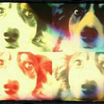 Profile Picture of Stephen Tongue (@stephentongue) on Instagram