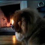 Profile Picture of Renato Wechsler Russowsky (@renatorussowsky) on Instagram