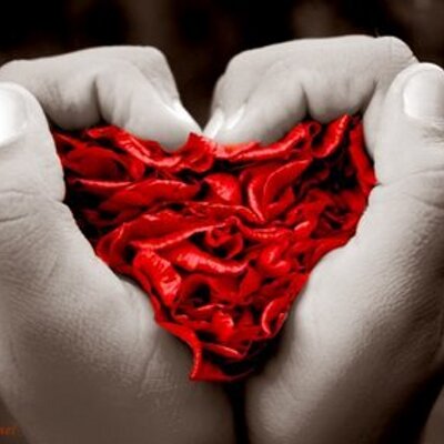 Profile Picture of Silvia Simonetti (@silvialivia) on Twitter