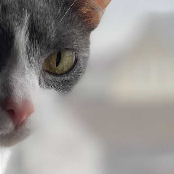 Profile Picture of Michael Reese (@batmanfactor) on Poshmark