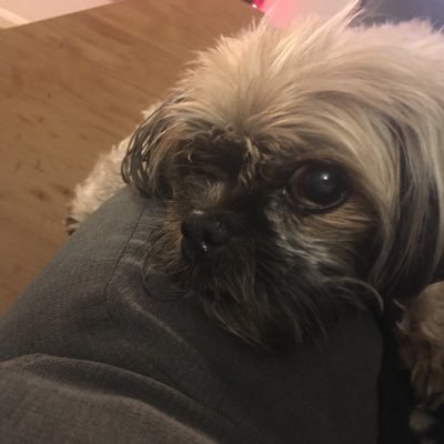 Profile Picture of Carrie Sampson (@CarrieSampson20) on Twitter