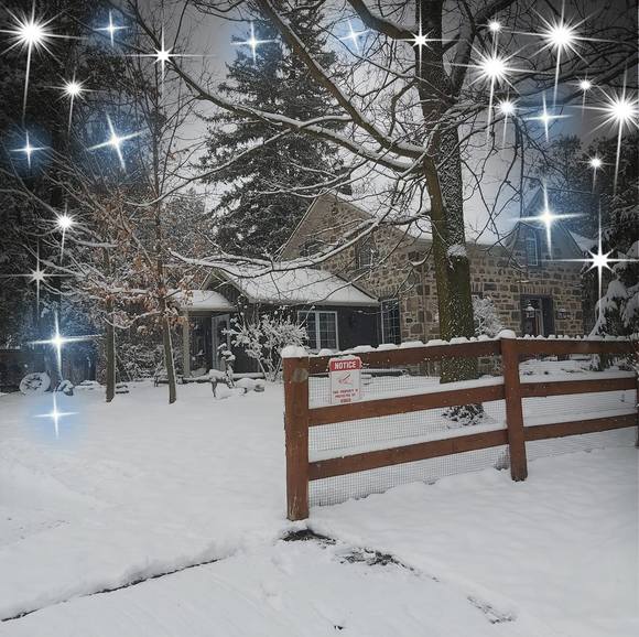 Profile Picture of Lisa Hergott (@harley0247) on Poshmark