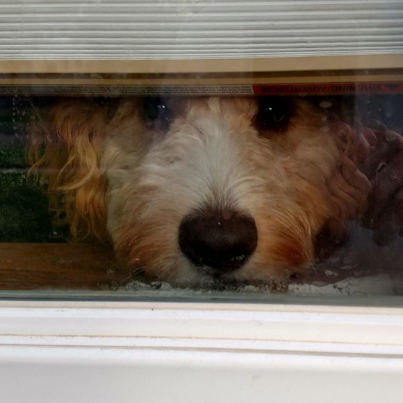 Profile Picture of Kevin Kettner (@kevinkettner) on Poshmark