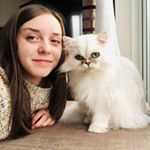 Profile Picture of Caitlin Wade (@caitlinfranceswade) on Instagram