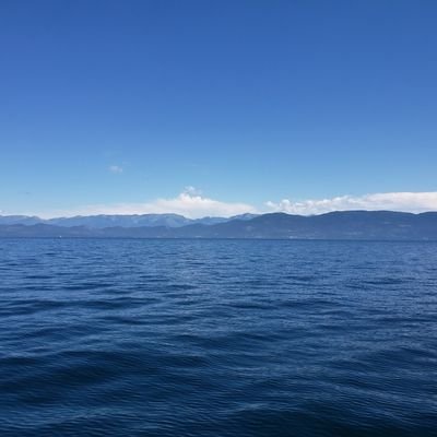 Profile Picture of Dave Brenden (@dave_brenden) on Twitter