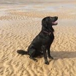 Profile Picture of Malcolm Dodd (@malcolm.dodd.7) on Instagram