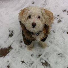 Profile Picture of Peter Wandy Miele (@peterwandymiele) on Tiktok