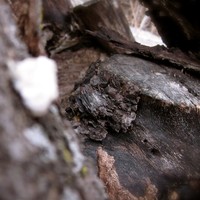 Profile Picture of Joseph Venuso (@joseph-venuso) on Quora