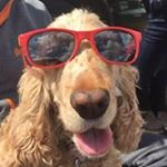 Profile Picture of Bob Beckwith (@bob33k) on Instagram