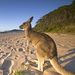 Profile Picture of Lou Deer (@sandrareimann77) on Pinterest