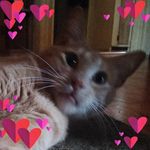 Profile Picture of Michelle Emery (@shellyemery49) on Instagram
