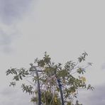 Linda Kocet - Facebook Profile Picture of Linda Kocet (@linda.kocet.188) on Facebook