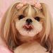 Profile Picture of Brenda Montes (@brendatovar80) on Pinterest
