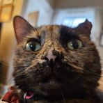 Profile Picture of Jeff Dreger (@Jeff-Dreger) on Facebook