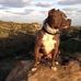 Profile Picture of Steve Wolfe (@steve.wolfe.1804109) on Facebook