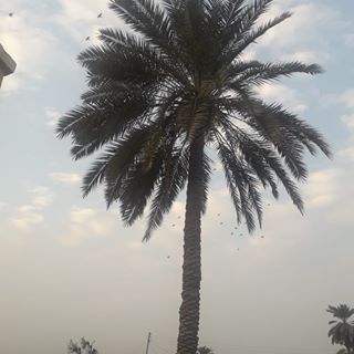 Profile Picture of Adnan Rehman (@adnan.rehman.9279) on Facebook