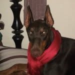 Profile Picture of Matthew Cataldo (@mr_cataldo) on Instagram