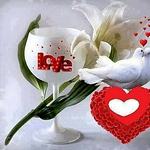 Profile Picture of Sami Ullah (@ullahsami711) on Flickr