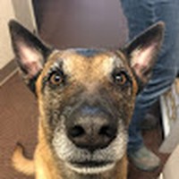 Profile Picture of Todd Westfall (@todd-westfall-3) on Quora