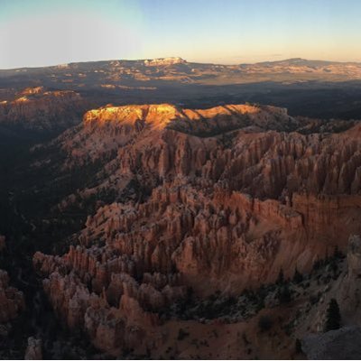 Profile Picture of Darren Yu (@YuDarrenCn) on Twitter