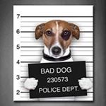 Profile Picture of Brad Hedspeth (@bad_moon_rising_1975) on Instagram