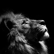 Profile Picture of Beely (@beely5052) on Youtube