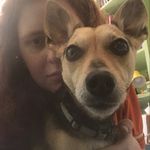 Profile Picture of Josie (@josie.baxter_) on Instagram