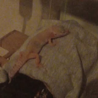 Cindy Gaucher - Instagram Profile Picture of Cindy Gaucher (@cindygaucher) on Instagram