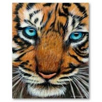 Profile Picture of Tim Heidecker  (@tim-heidecker-2) on Quora