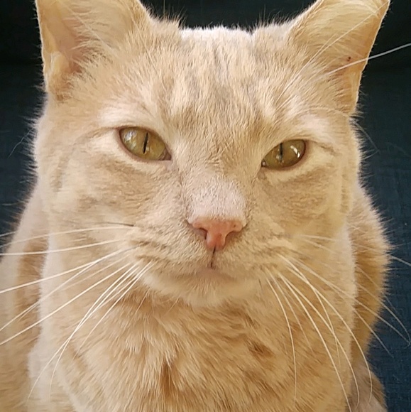 Profile Picture of Paul Gannon (@naturedr) on Poshmark