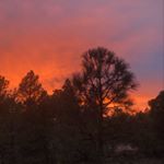 Profile Picture of Shannon Angelo (@rsdangelo) on Instagram