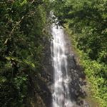 Profile Picture of Ryan (@ryan_tombs) on Instagram