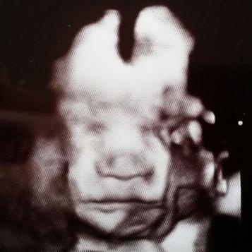 Profile Picture of Stephen Fordham (@fordham_stephen) on Twitter