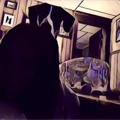 Profile Picture of Jillian Mccormick (@jill_1324) on Twitter