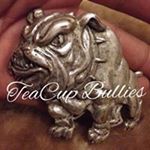 Profile Picture of Jesse TeacupBullies Salcedo (@jesseteacupbullies) on Instagram