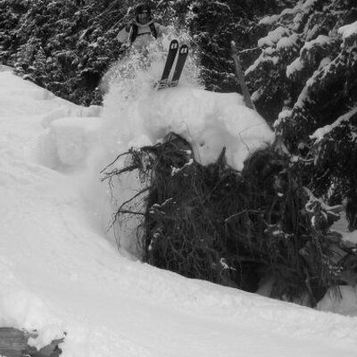 Profile Picture of David Richard Platt (@davidplatt1) on Twitter