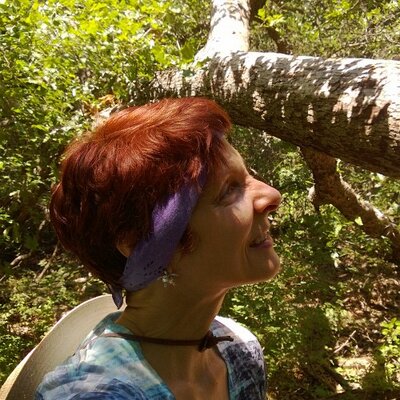 Profile Picture of Dawn Cronin (@dawn_cronin) on Twitter